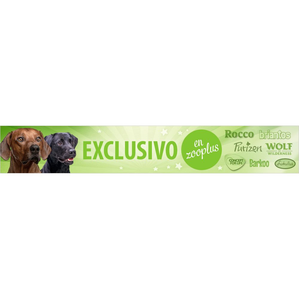zoolove exclusivos perro