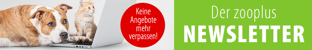 Newsletter abonnieren & 333 zooPunkte sichern! Newsletter abonnieren & 333 zooPunkte sichern!