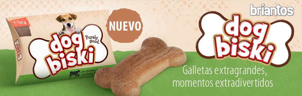 galleta para perros