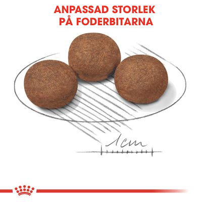Foderbitar