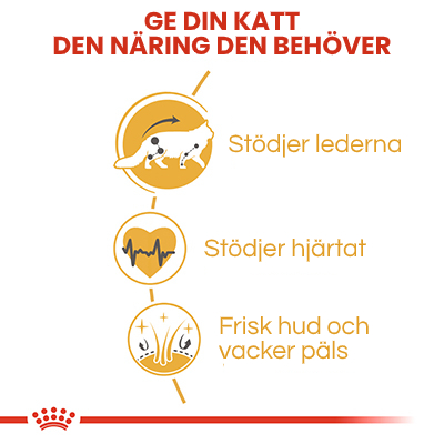 Ge din katt den näring den behöver
