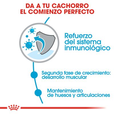 Royal Canin Giant Starter Madre y Cachorro