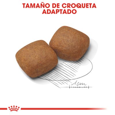 Royal Canin Giant Starter Madre y Cachorro