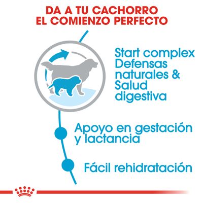 Royal Canin Giant Starter Madre y Cachorro