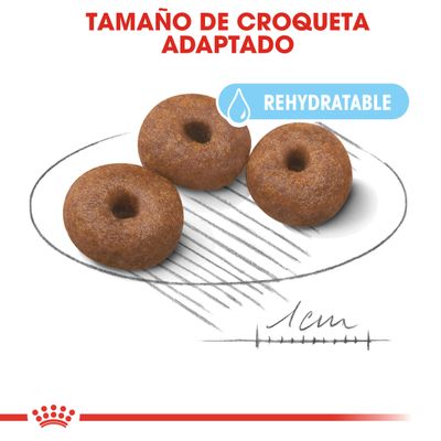 Royal Canin Giant Starter Madre y Cachorro