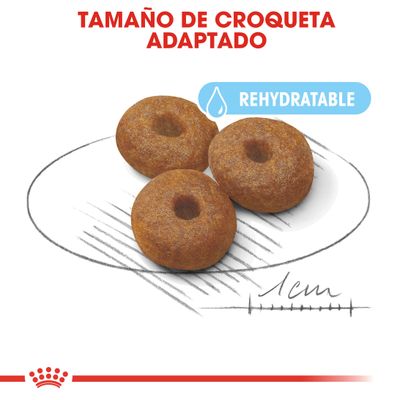 Royal Canin Maxi Starter Madre y Cachorro