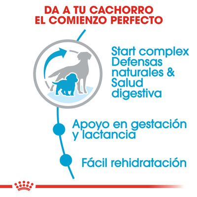 Royal Canin Medium Starter Madre y Cachorro