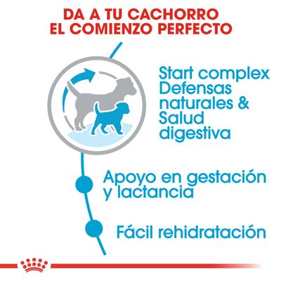 Royal Canin Mini Starter Madre y Cachorro