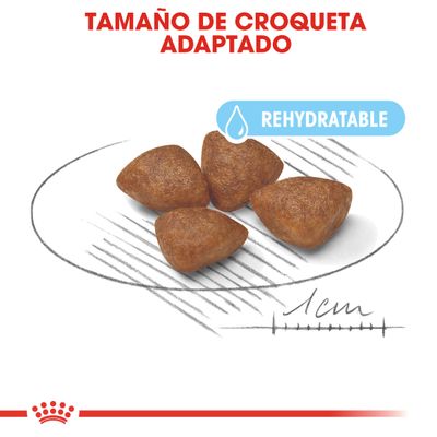 Royal Canin Mini Starter Madre y Cachorro