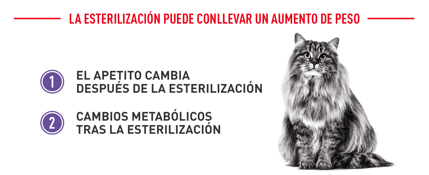 Royal Canin Appetite Control Care