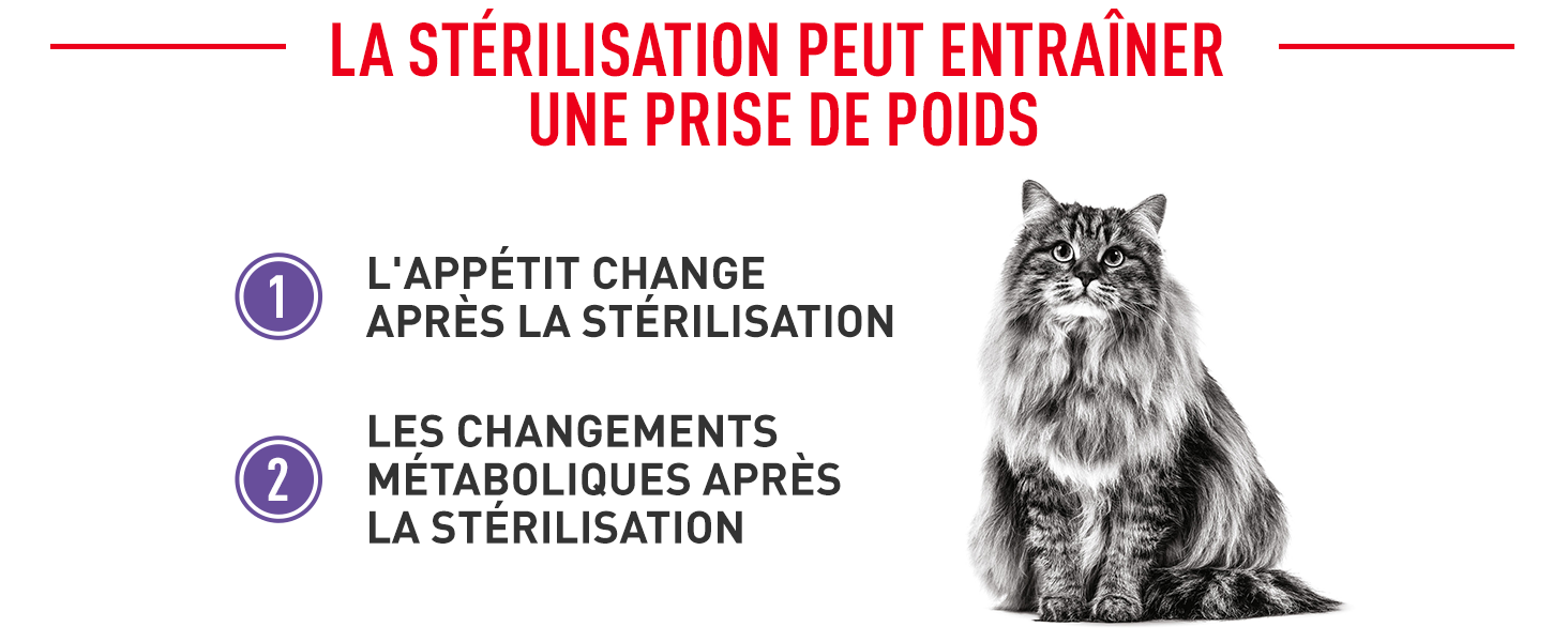 Royal Canin