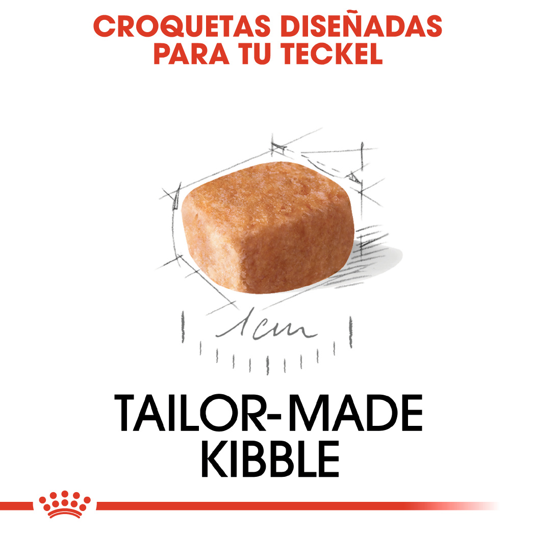 Royal Canin Teckel Puppy