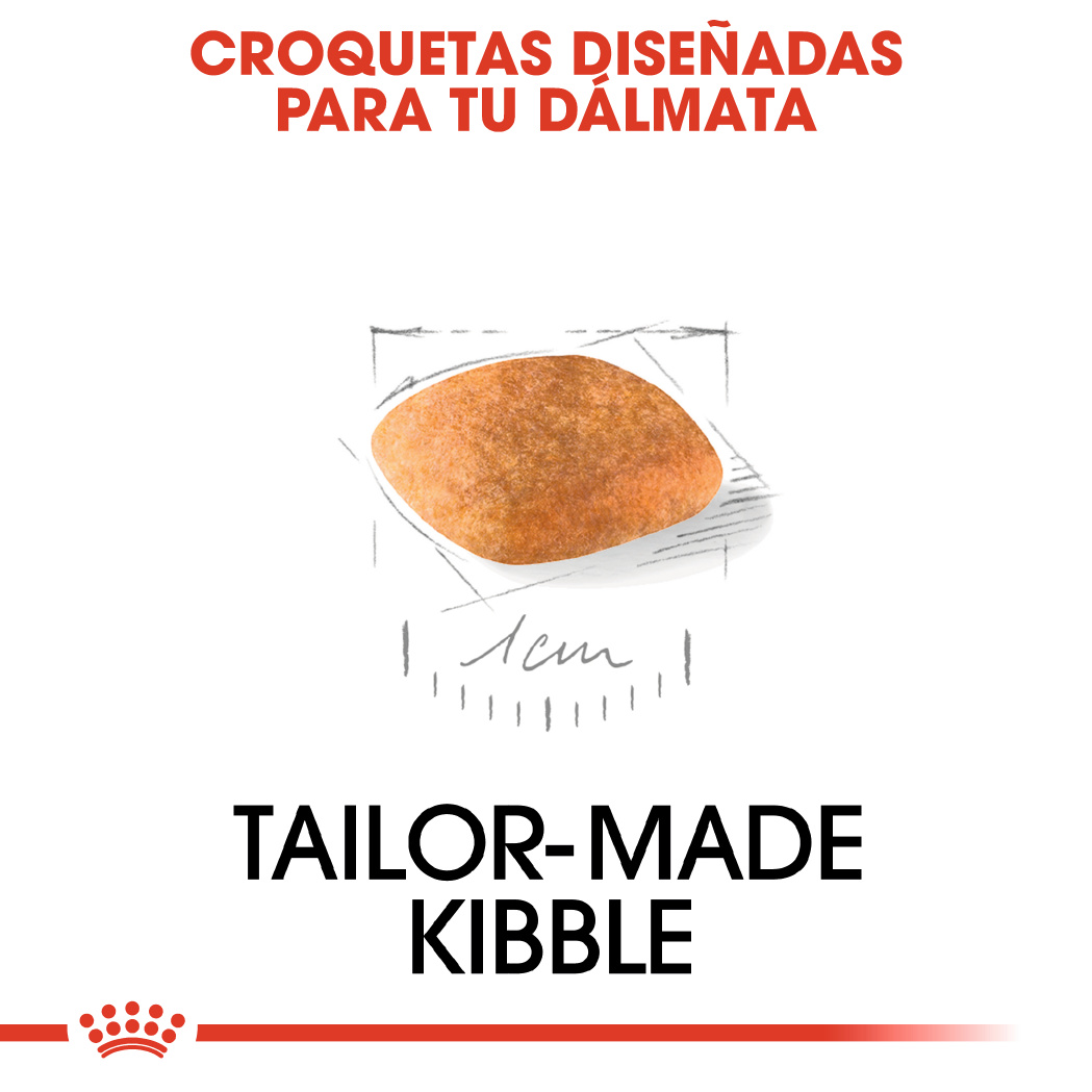 Royal Canin Dálmata Puppy