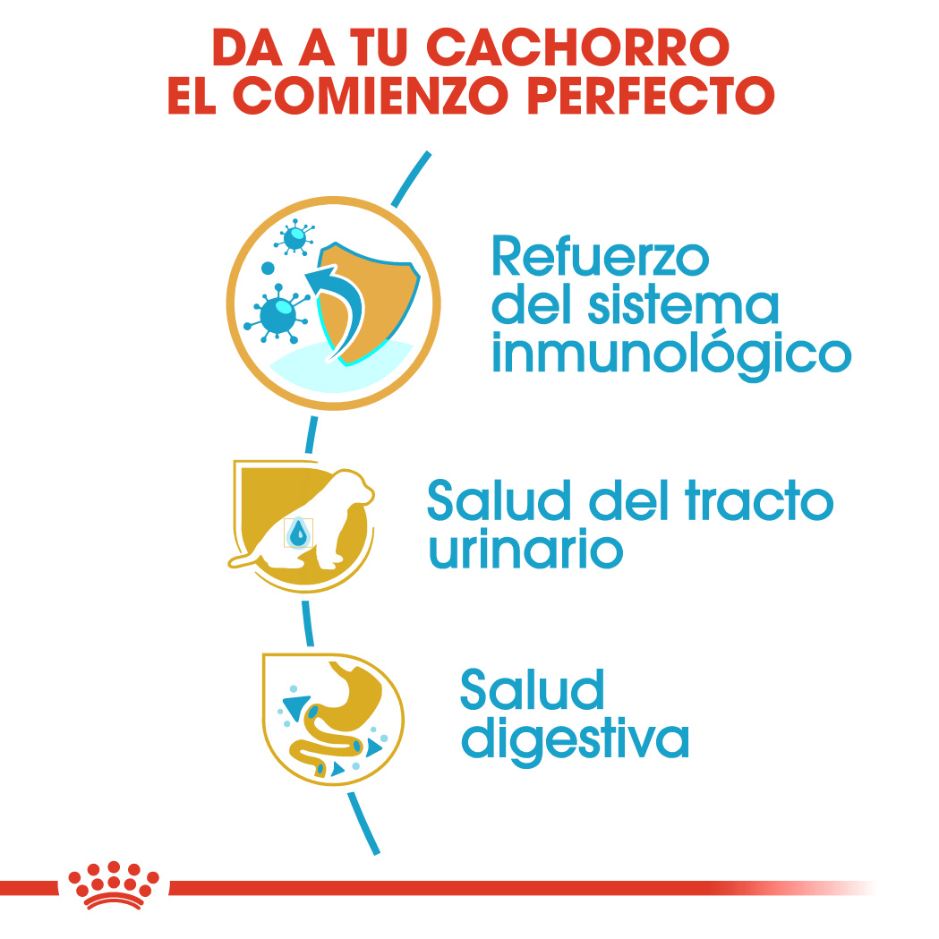 Royal Canin Dálmata Puppy