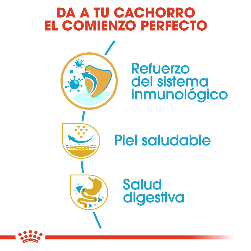 Royal Canin Carlino Puppy