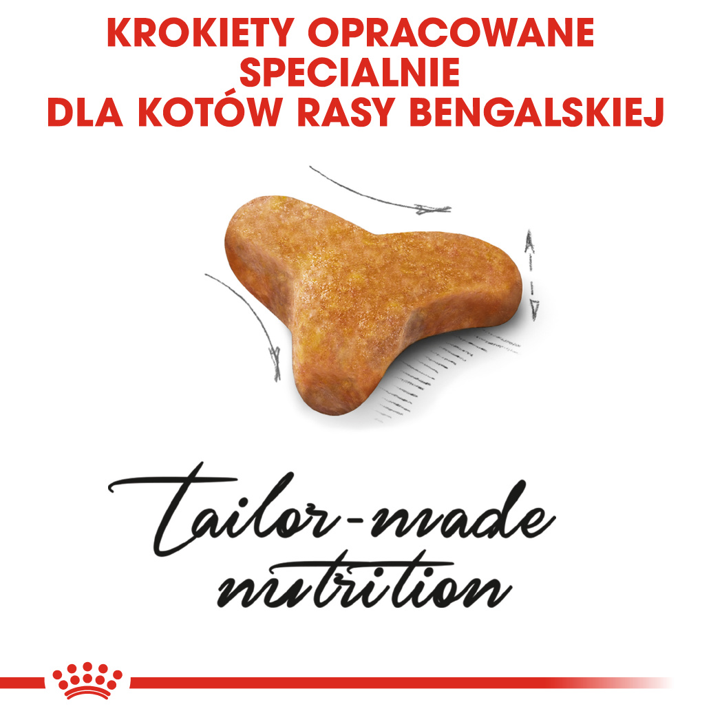 Specjalne krokiety dla kotów bengalskich