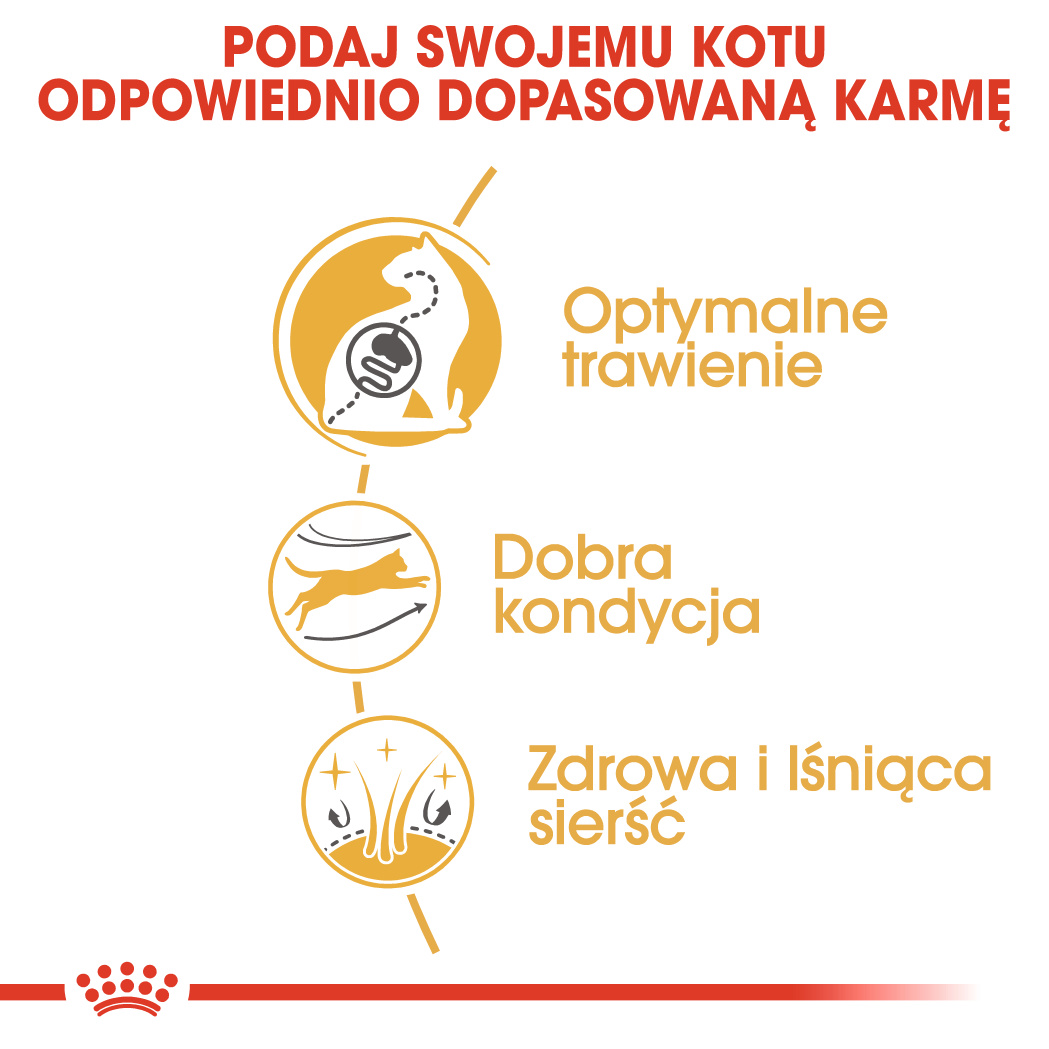 Optymalne wsparcie zdrowego życia