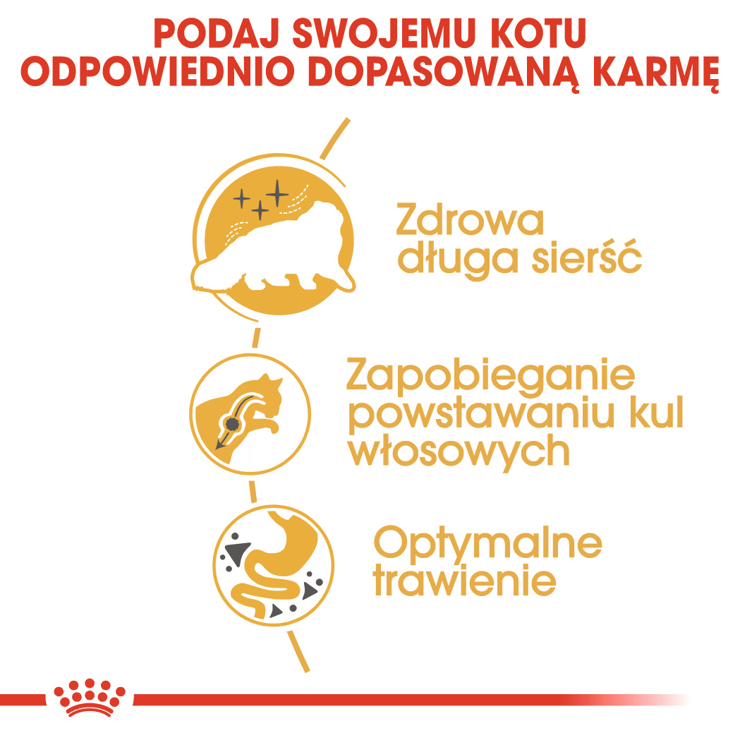 Optymalne zaopatrzenie
