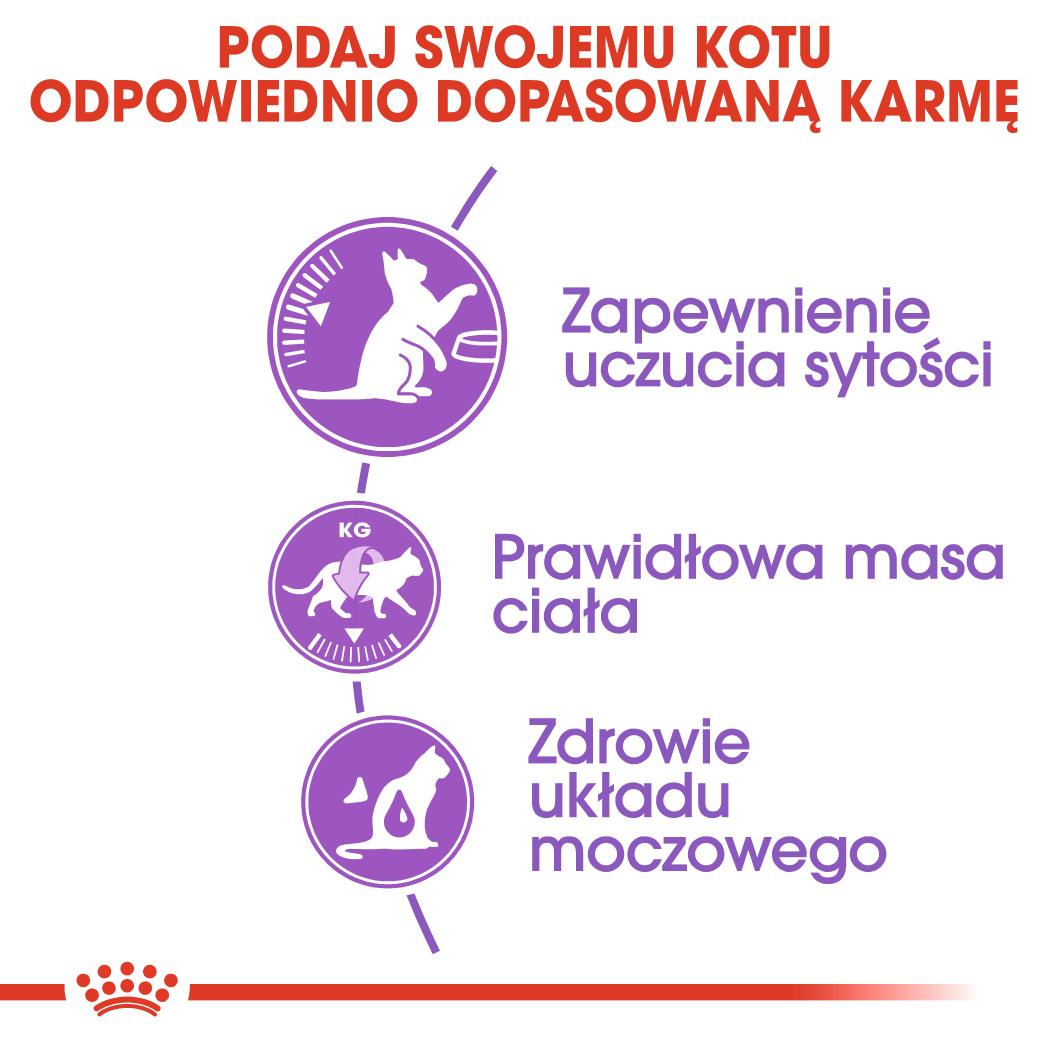 Specjalnie dopasowany skład