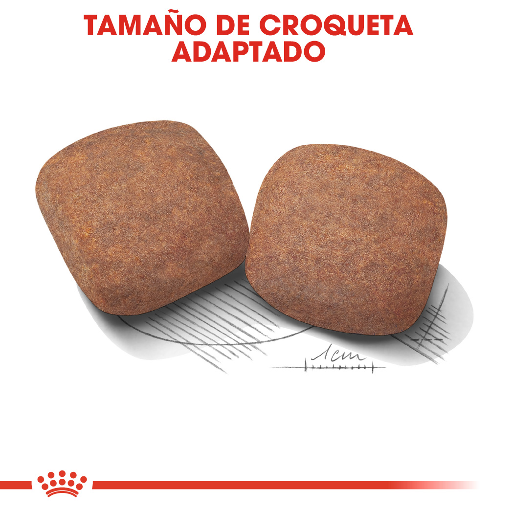 Royal Canin Giant Adult