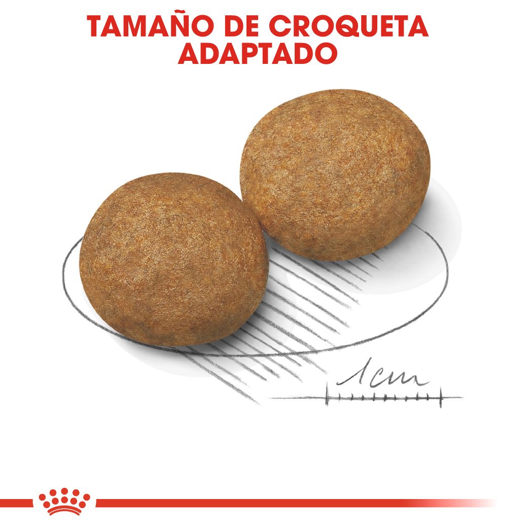 Royal Canin Medium Adult