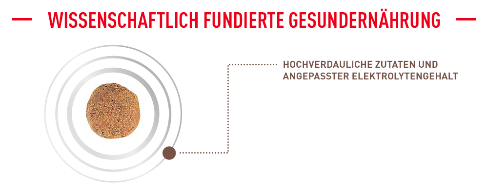 Royal Canin Veterinary Canine Gastrointestinal Low Fatneu 20 Royal Canin Veterinary Canine Gastro Intestinal Low Fat