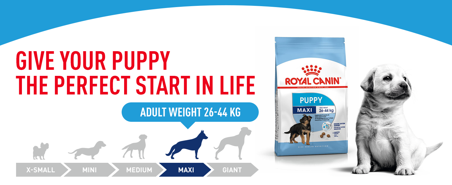 Royal Canin Maxi Puppy Trockenfutter