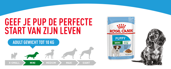 Royal Canin Mini Puppy Wet