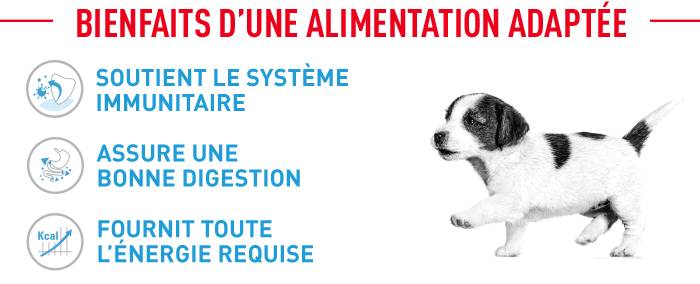 Les bienfaits d'une alimentation adaptée