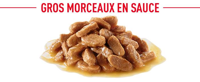 Une nourriture délicieuse