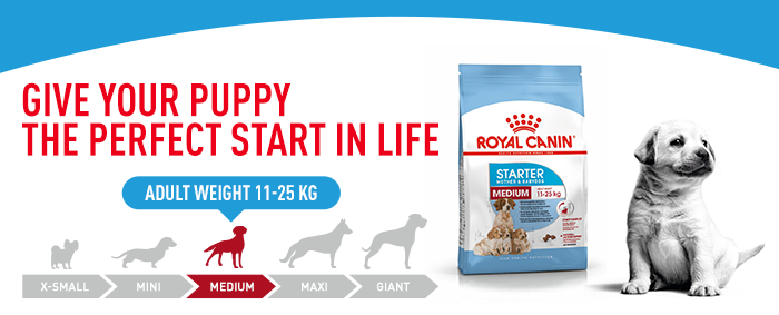 Royal Canin Medium Starter Mother & Babydog