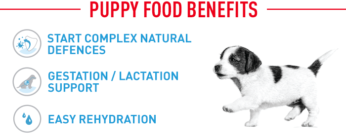 Royal Canin Medium Starter Mother & Babydog