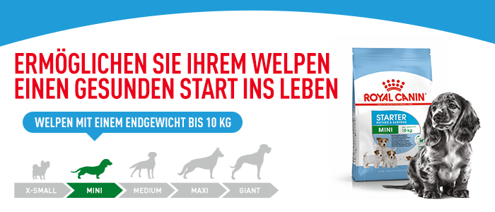 Royal Canin Mini Starter Mother & Babydog