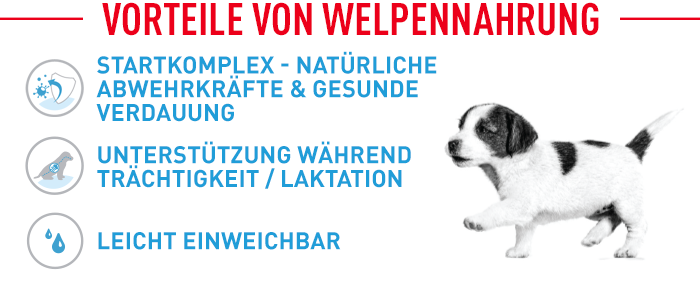 Royal Canin Mini Starter Mother & Babydog