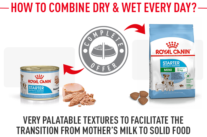 Royal Canin Mini Starter Mother & Babydog