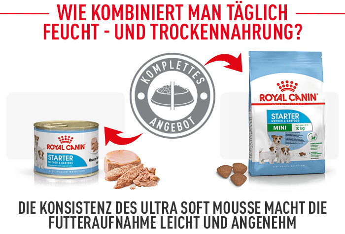 Royal Canin Mini Starter Mother & Babydog