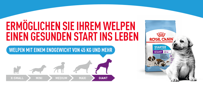 Royal Canin Giant Starter Mother & Babydog