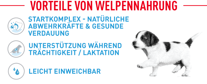 Royal Canin Giant Starter Mother & Babydog