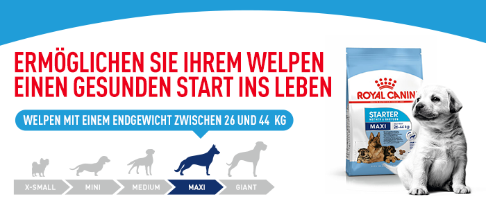 Royal Canin Maxi Starter Mother & Babydog