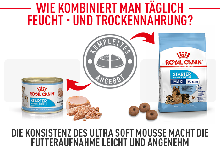 Royal Canin Maxi Starter Mother & Babydog