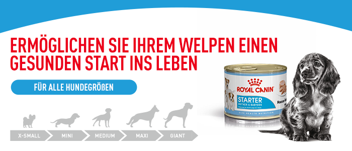 Royal Canin Starter Mousse Mother & Babydog