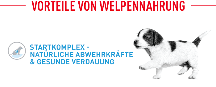 Royal Canin Starter Mousse Mother & Babydog