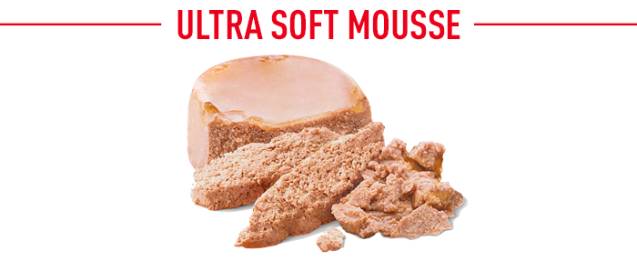 Royal Canin Starter Mousse Mother & Babydog