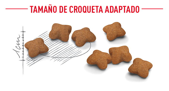 Royal Canin Kitten Sterilised