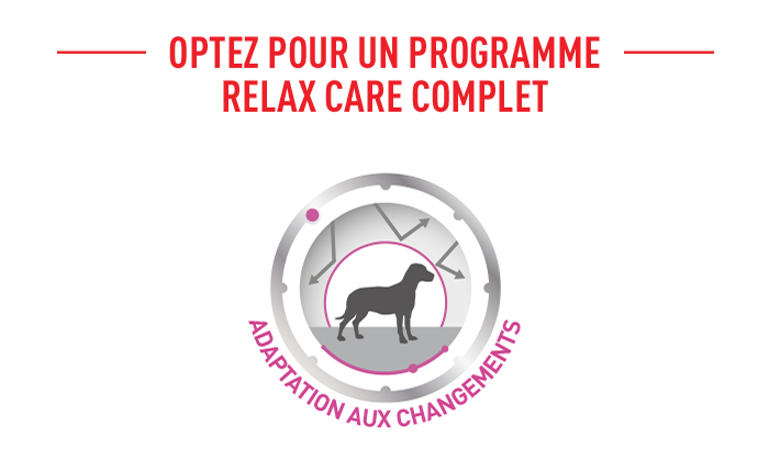 Optez pour un programme complet