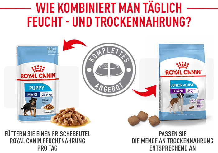 Royal Canin Giant Junior Active