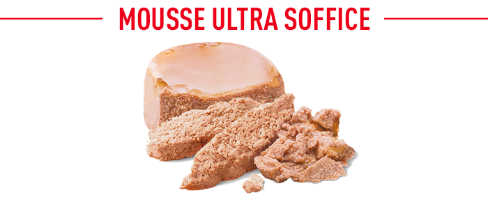 Royal Canin Starter Mousse Mother & Babydog