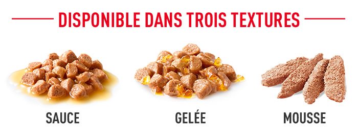Mousse