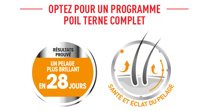 Optez pour un programme poil terne complet