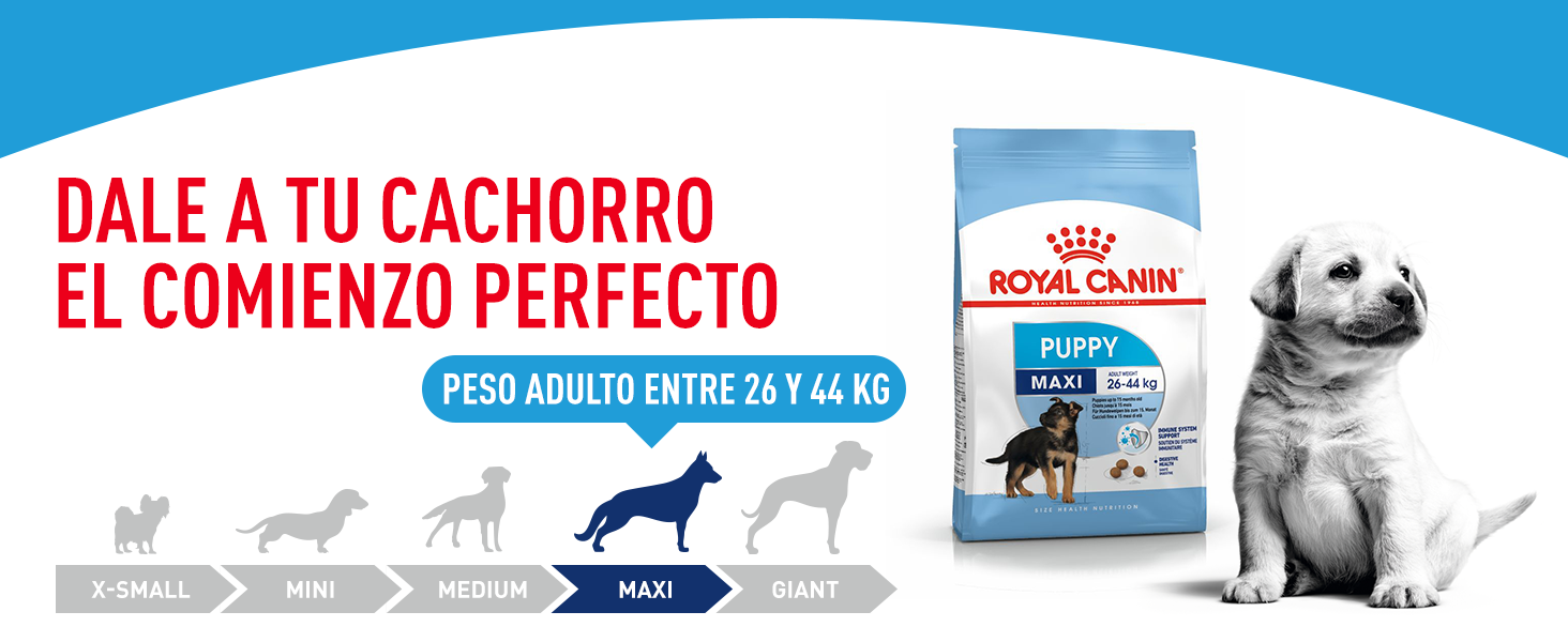 Royal Canin Maxi Puppy 1